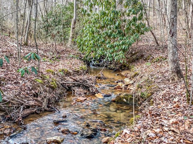 95 Breezy Brook Lane 5, Hayesville, NC 28904