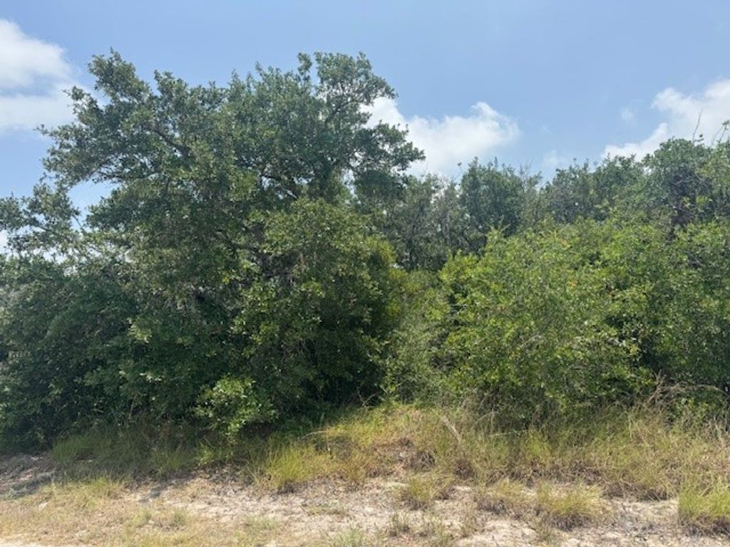 0000 Pace Ave, Ingleside, TX 78362 — photo 2