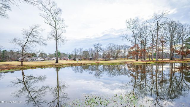 23 Carriage Court Place, Brandon, MS 39047