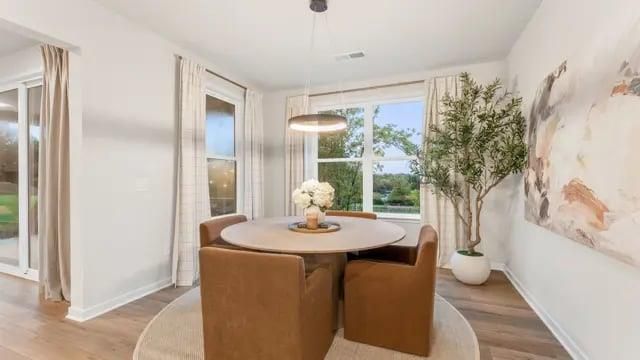 3950 Silver Pine Trail, Cumming, GA 30028