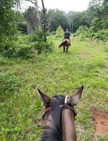 3700 State Road V, De Soto, MO 63020