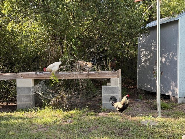 7700 EDEN PARK ROAD, Orlando, FL 32810