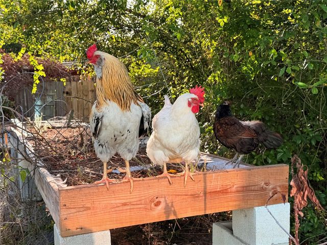 7700 EDEN PARK ROAD, Orlando, FL 32810