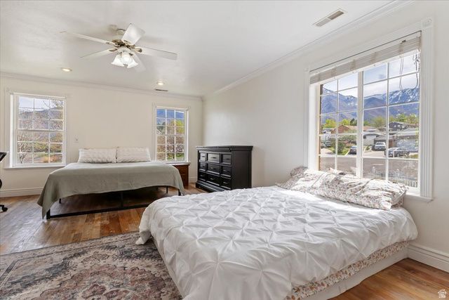 478 N AMA FILLE LN, Elk Ridge, UT 84651