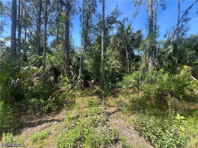 41st AVE NE, Naples, FL 34120
