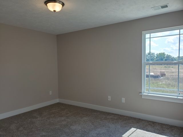 2910 Valley Farms Drive, Christiana, TN 37037