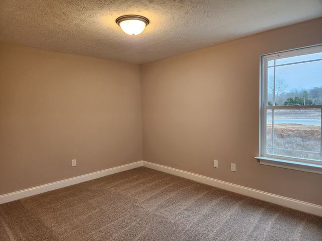 2910 Valley Farms Drive, Christiana, TN 37037