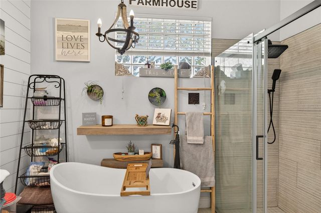 2040 PARK FOREST BOULEVARD, Mount Dora, FL 32757