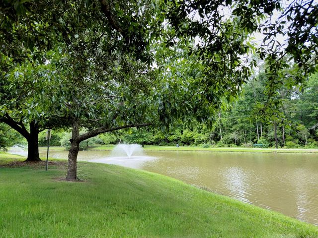 18 Majestic Falls Drive, Houston, TX 77339