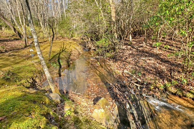 870 Mitchell Branch Road, Morganton, GA 30560