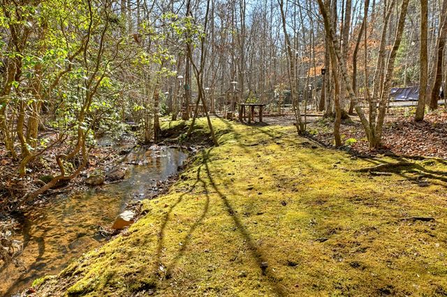 870 Mitchell Branch Road, Morganton, GA 30560