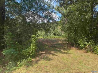 Lot 2 Word Mountain Road, Grant, AL 35747
