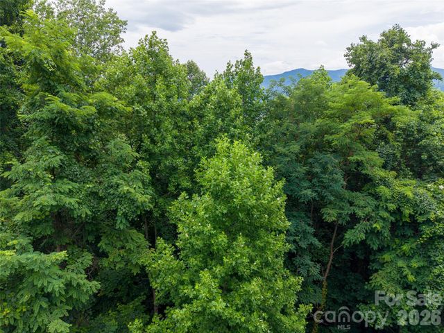 236 Nottingham Drive, Mill Spring, NC 28756