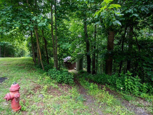 236 Nottingham Drive, Mill Spring, NC 28756
