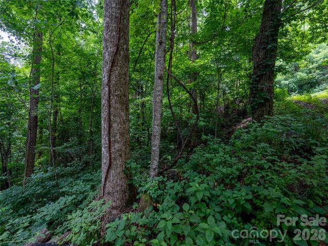 236 Nottingham Drive, Mill Spring, NC 28756