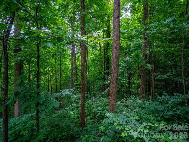 236 Nottingham Drive, Mill Spring, NC 28756