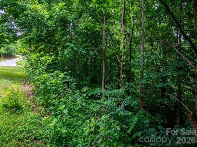 236 Nottingham Drive, Mill Spring, NC 28756