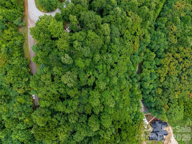 236 Nottingham Drive, Mill Spring, NC 28756