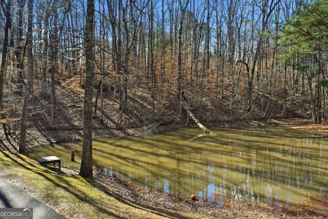 437 Twin Lakes Drive, Canton, GA 30115