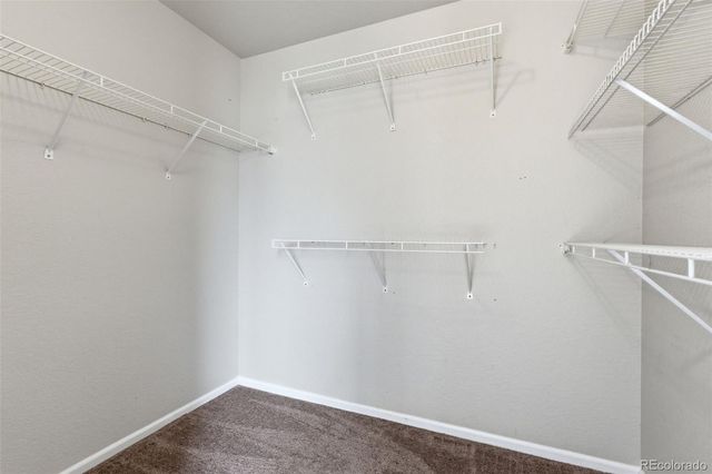 3983 Jericho Street, Denver, CO 80249