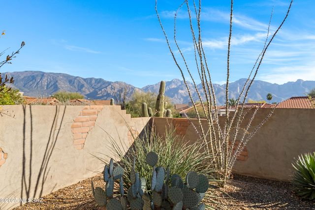 1558 E Bright Angel Drive, Oro Valley, AZ 85755