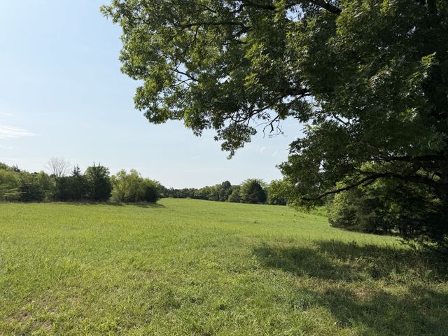 0 Flat Creek Rd, Spring Hill, TN 37174