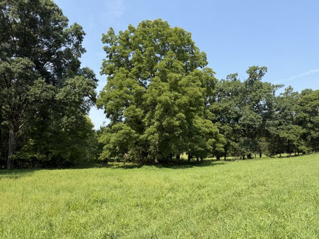 0 Flat Creek Rd, Spring Hill, TN 37174