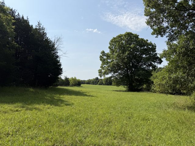 0 Flat Creek Rd, Spring Hill, TN 37174