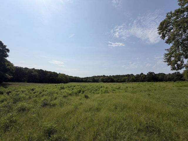 0 Flat Creek Rd, Spring Hill, TN 37174