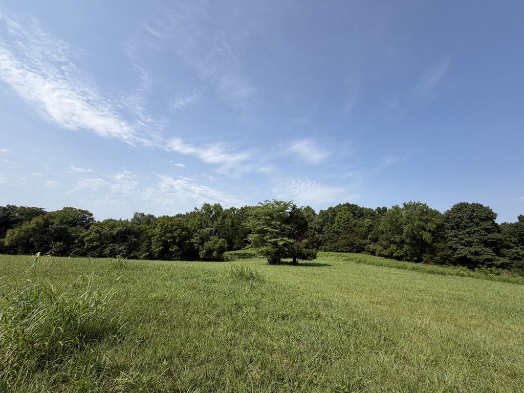 0 Flat Creek Rd, Spring Hill, TN 37174