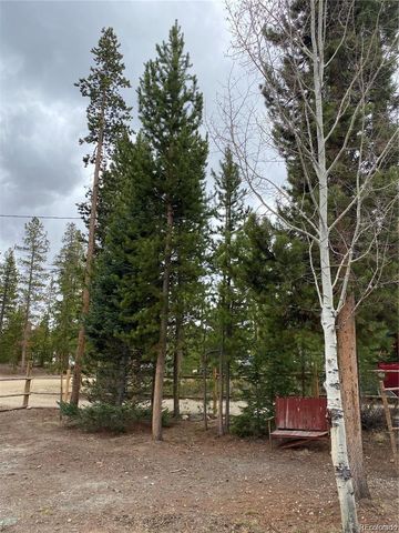803 Cr-462, Grand Lake, CO 80447