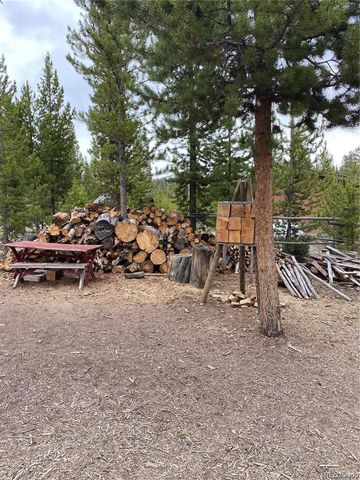 803 Cr-462, Grand Lake, CO 80447