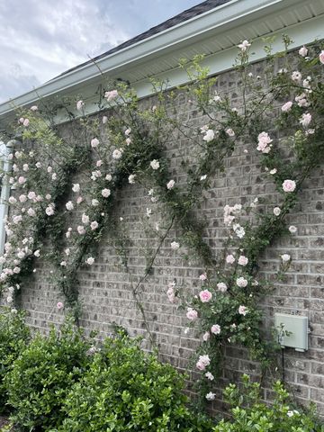 4684 Majestic Meadows Dr, Arrington, TN 37014