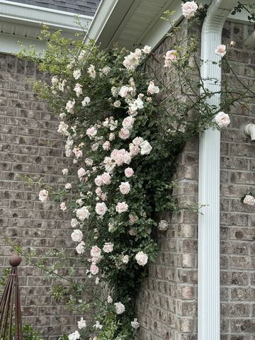 4684 Majestic Meadows Dr, Arrington, TN 37014