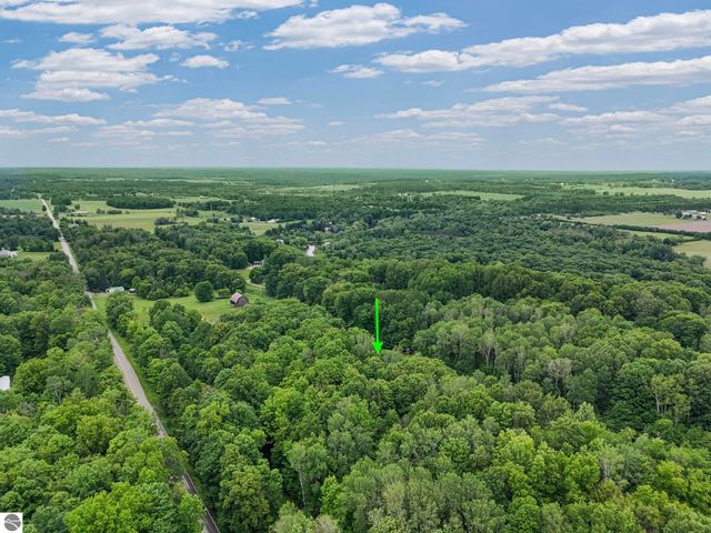 17924 River Bluffs Drive, Hersey, MI 49639