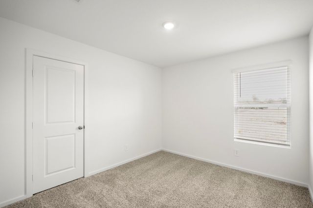 12011 Curlin Drive, Willis, TX 77318