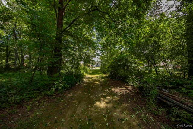 106 Rogers Avenue, Iron River, MI 49935