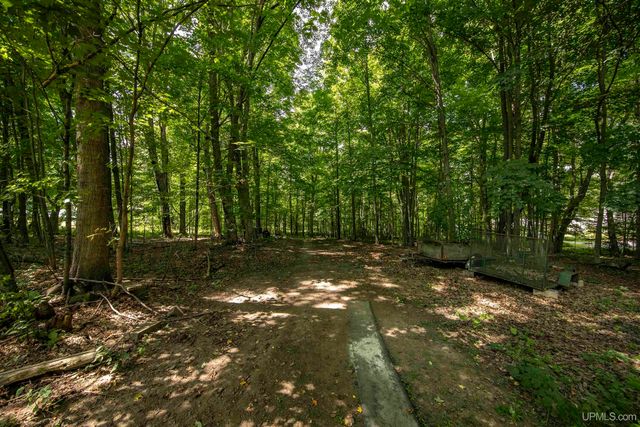 106 Rogers Avenue, Iron River, MI 49935