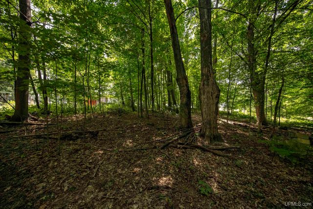 106 Rogers Avenue, Iron River, MI 49935