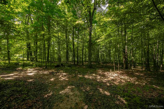 106 Rogers Avenue, Iron River, MI 49935