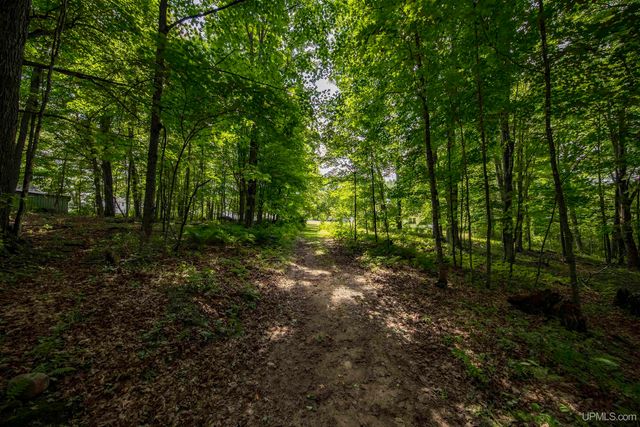 106 Rogers Avenue, Iron River, MI 49935