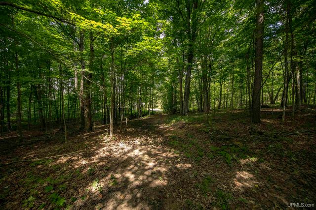 106 Rogers Avenue, Iron River, MI 49935