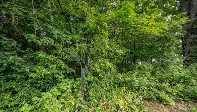 106 Rogers Avenue, Iron River, MI 49935