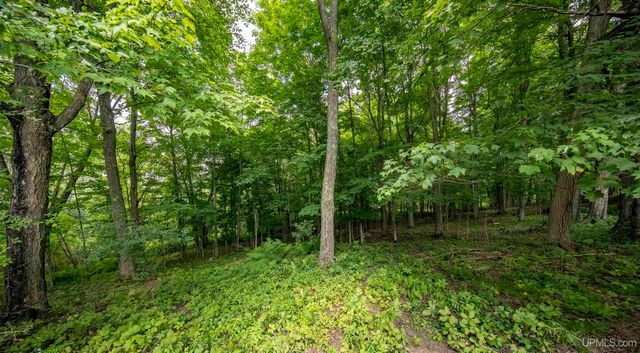 106 Rogers Avenue, Iron River, MI 49935