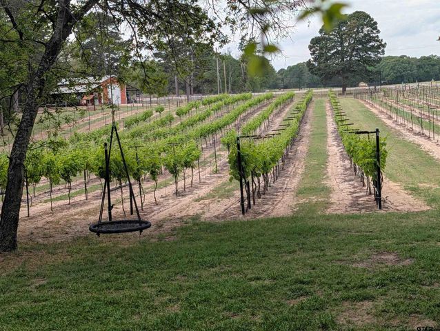 19054 FM 1804, Lindale, TX 75771