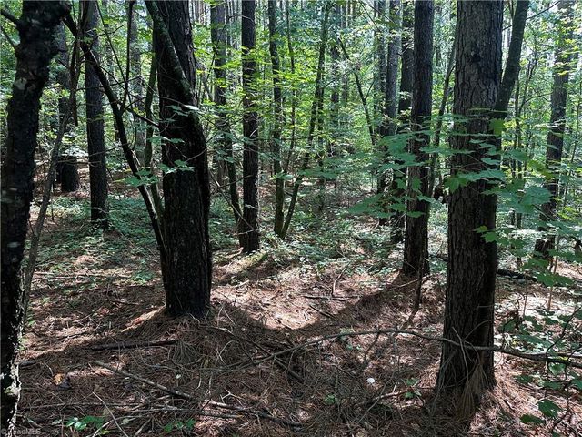 0000 Cool Springs Church Road, Elkin, NC 28621