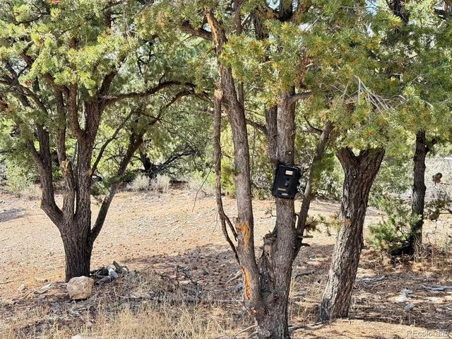 1379 Carter Road, Fort Garland, CO 81133