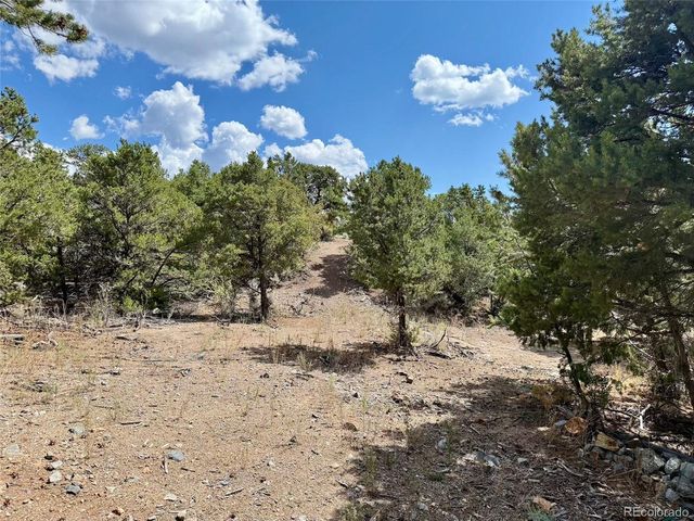 1379 Carter Road, Fort Garland, CO 81133