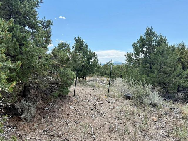 1379 Carter Road, Fort Garland, CO 81133