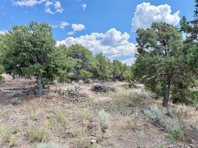 1379 Carter Road, Fort Garland, CO 81133